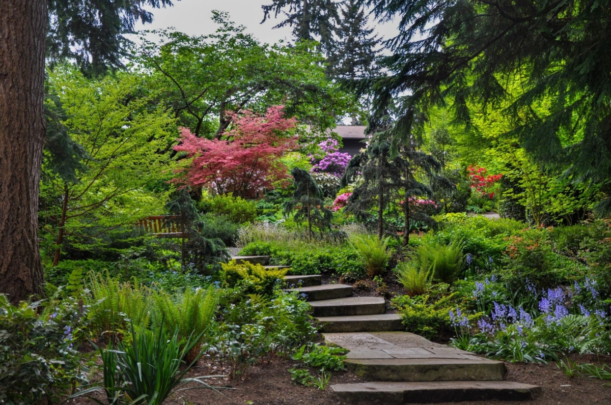 Botanical gardens in Powell's Wood.