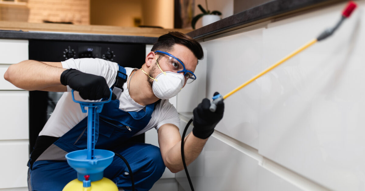Pest control worker in home