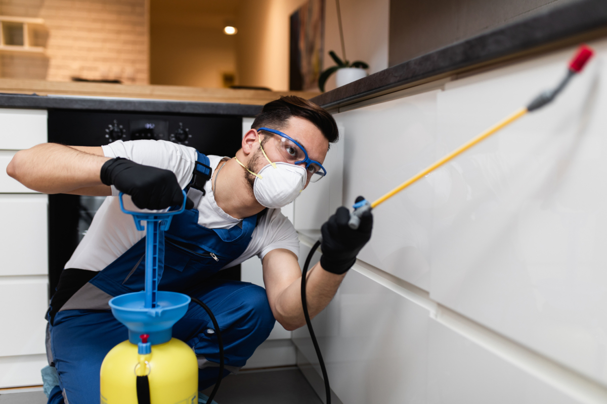 Pest control worker in home