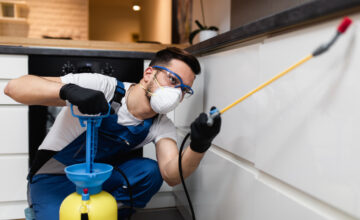 Pest control worker in home